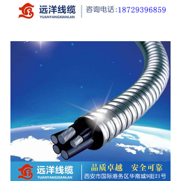 大大的铝合金电缆|重庆铝合金电缆|*铝合金电缆(查看)