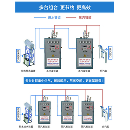 上海小型蒸汽锅炉厂家-诸城博通热能(图)