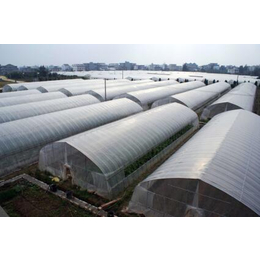 成都温室,青州市鑫华生态农业,玻璃温室
