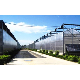 阳光板温室|齐鑫温室园艺|阳光板温室项目方案