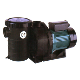*环保(图)-爱克水泵维修-广西爱克水泵