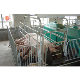 厂家*双体母猪分娩床单体母猪产床