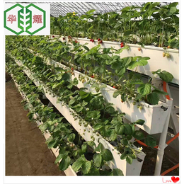 生态农业种植草莓A型栽培架立体种植槽华耀规格样式齐全
