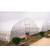 薄膜温室大棚建设,安徽薄膜温室,合肥建野(在线咨询)缩略图1