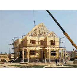 新县木结构房屋、万林木屋厂家、木结构房屋建设