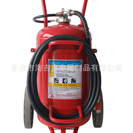 ****生产MFTZ50推车贮压式干粉干粉灭火消防救生设备