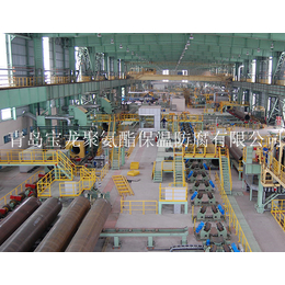 青岛宝龙设备3pe生产线钢管除锈机厂家