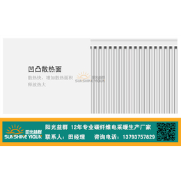 碳纤维电暖器生产厂家_渭南碳纤维电暖器_阳光益群(多图)