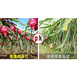 玉树补光灯、樱桃补光灯、【激光植物生长灯】(推荐商家)