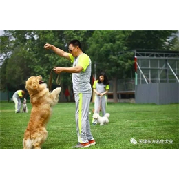 天津市东方名仕(图),宠物表演,宠物狗训练