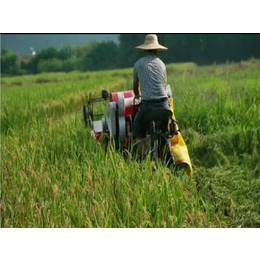 小型水稻收割机、中热农业机械(在线咨询)、丹东水稻收割机