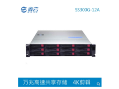 鑫云SS300G-12A.png