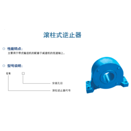 接触式逆止器-邹城广信科技(在线咨询)-逆止器