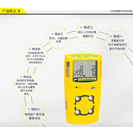 MC2-4便携式气体检测仪MicroClipXT四合一报警仪