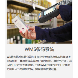 多维度WMS智能仓储管理系统 WMS条码系统 华智WMS