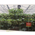 种植槽,寿光市泰宇农业机械,草莓无土栽培种植槽缩略图1