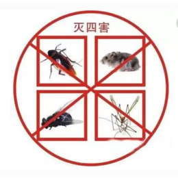 *生物防治灭老鼠+灭蟑螂+灭*+白蚁防治缩略图