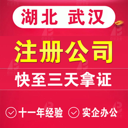 武汉注册公司注册工商注册变更个体户营业执照代理记账