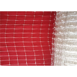 泰泽床垫网(图)、床垫网是什么材质？、床垫网