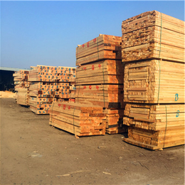 中林木业(在线咨询)、唐山建筑木方、建筑木方多少钱