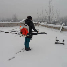 天恒机械-背负式吹雪机-背负式吹雪机价格