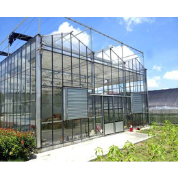 玻璃大棚建造|合肥小农人玻璃大棚|宿州玻璃大棚