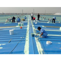 嘉善县屋顶防水|同城建筑防水工程|屋顶防水厂家