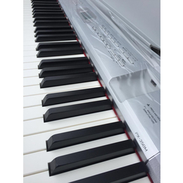 卡西欧电钢琴 PX-350缩略图