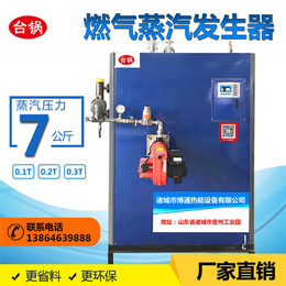 香港洗涤烘干蒸汽发生器-台锅热能-洗涤烘干蒸汽发生器厂家