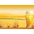 东莞扎啤啤酒|宏红食品贸易(在线咨询)|东莞扎啤缩略图1