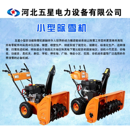 手扶式扫雪机适用于学校工厂扫雪_市政用小型扫雪机价格