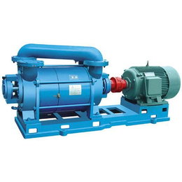 华安水泵(图)、SZ水环式真空泵、文登水环式真空泵