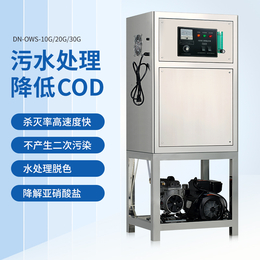 缔诺净化20g臭氧水机 广州臭氧水机生产厂家 臭氧水机价格