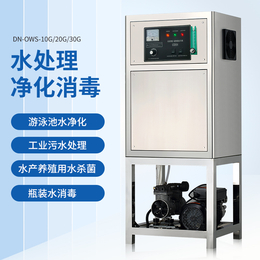 30g高浓度臭氧水机 缔诺臭氧机厂 广州臭氧水机厂家