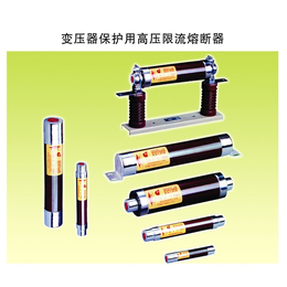 上海高压熔断器供应商,高鼎电器,熔断器