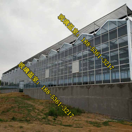 江陵玻璃温室大棚施工队,玻璃温室,湖北建玻璃温室的公司