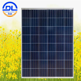 太阳能电池板寿命|东龙新能源公司(在线咨询)|太阳能电池板