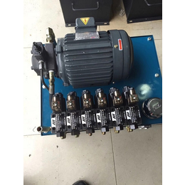 DBS电动泵-电动泵-星科液压厂家供应