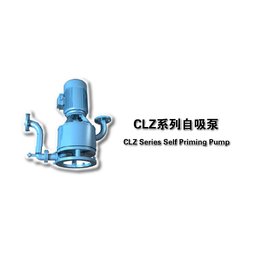 CLZ立式自吸泵_岳阳立式自吸泵_江苏长凯机械公司(查看)