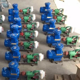 吉林65FSB-25L耐高温氟塑料泵,石保泵业