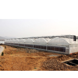薄膜温室大棚搭建-合肥建野-安徽温室大棚