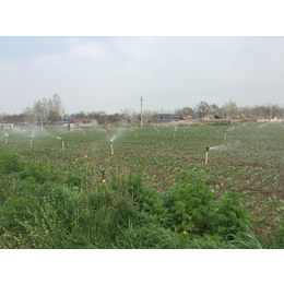 平顶山现代大田种植物联网-粮库管理软件，兵峰