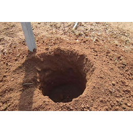 挖坑机|高密益丰机械|侧式挖坑机