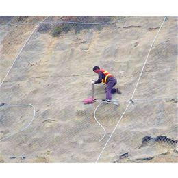 钢丝绳网|钢丝绳网定制|河北荣达边坡防护工程公司(推荐商家)