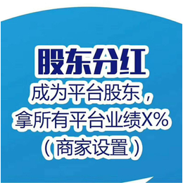 定制开发颠覆传统销售模式的分销系统模式缩略图