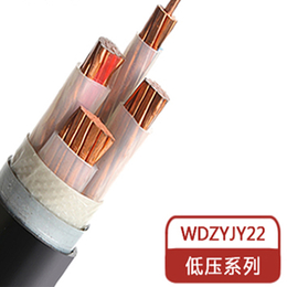 远东电缆 - WDZYJY22 铜芯电力电缆