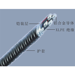 铝合金电缆 报价、安庆铝合金电缆、铝合金电缆厂家(查看)