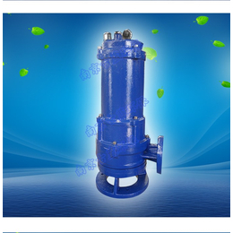 低噪音泵、泵、南京古蓝环保设备企业