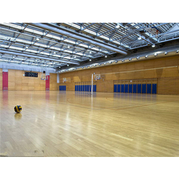 睿聪体育(图)、健身房运动木地板高弹性、平凉健身房运动木地板