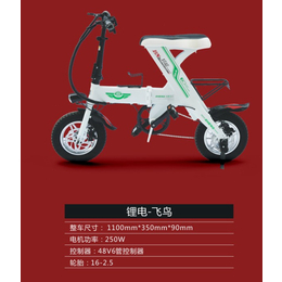 浙江电动自行车-邦能电动车(在线咨询)-微型折叠电动自行车